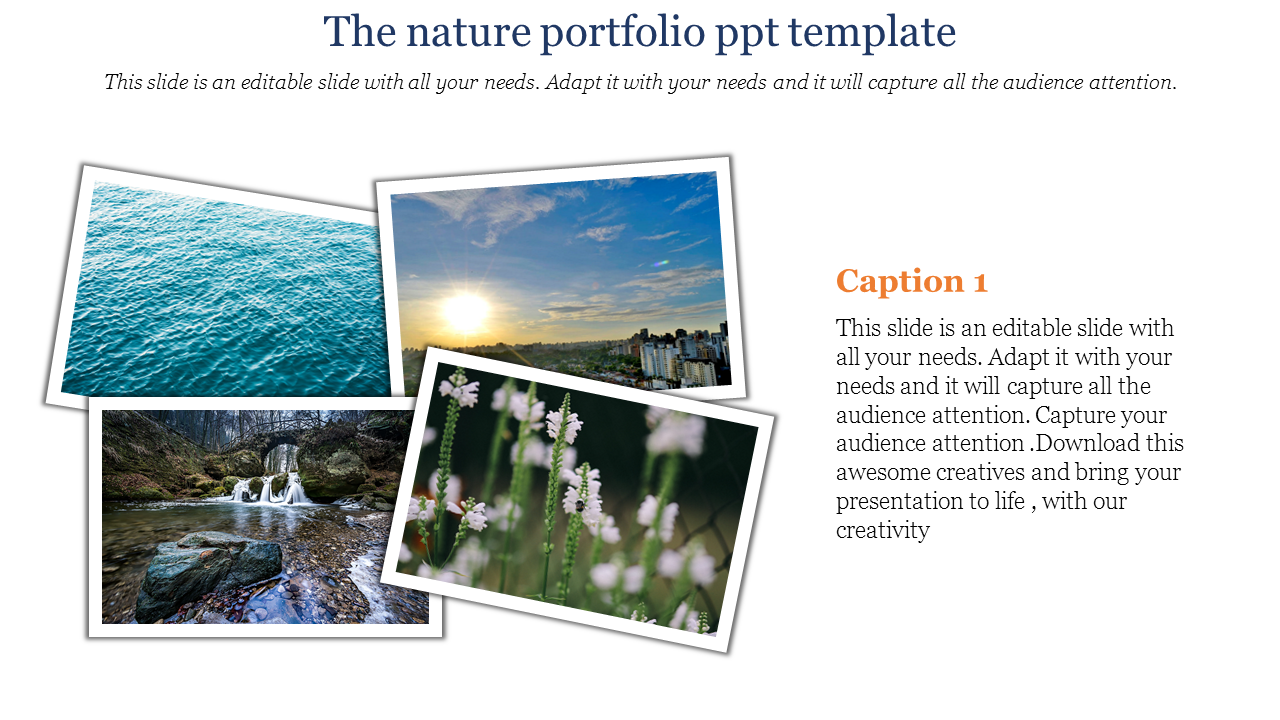 portfolio ppt template-The nature portfolio ppt template